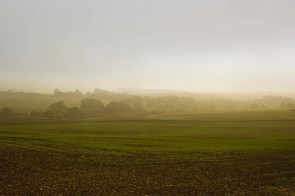 雾的早晨 — 图库照片