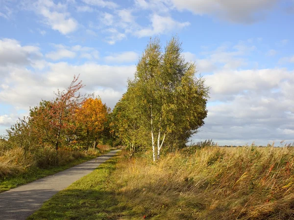 Herbstradweg — Stockfoto