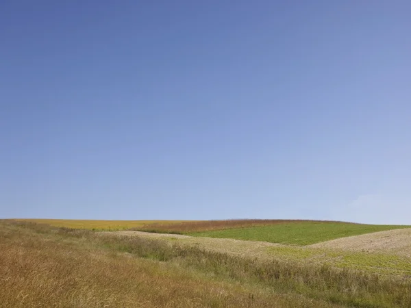 Blauwe zomer hemel en gras — Stockfoto