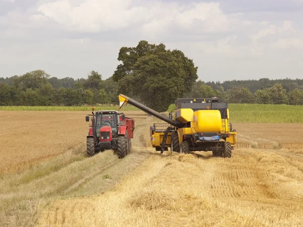 3 大麦を収穫 — ストック写真