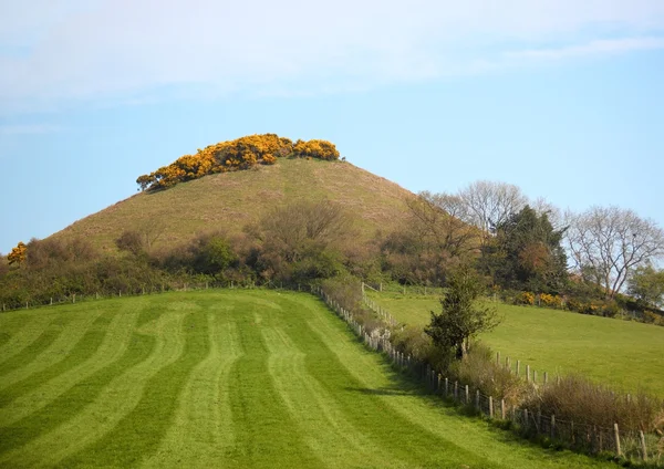 Met gras begroeide heuvel op een lentedag — Stockfoto