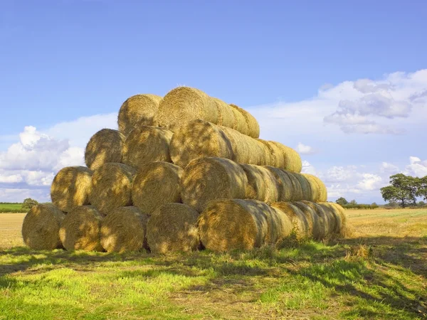 Straw bales in summer — Stock Photo, Image