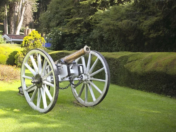 Stock image Canon in botanical gardens