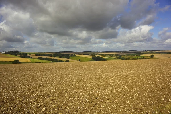 Wolds view — Stock Photo, Image