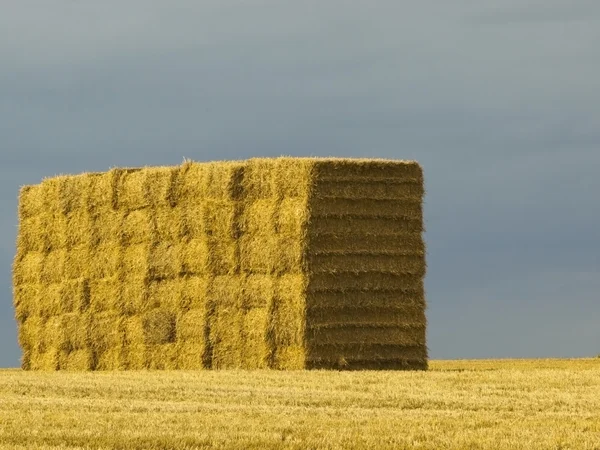 Stack of bales on hilltop — Stock Photo, Image
