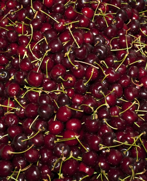 Cherries on market stall — Stock Photo, Image