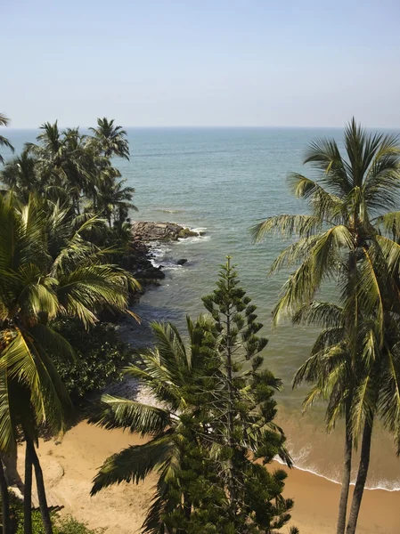 A tropical beach in sri lanka — Stock Photo, Image