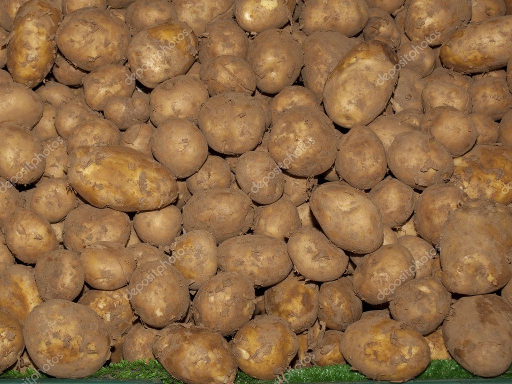 New potatoes ready for sale — Stock Photo © emjaysmith #2808336