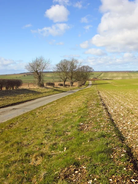 Wolds road — Stockfoto