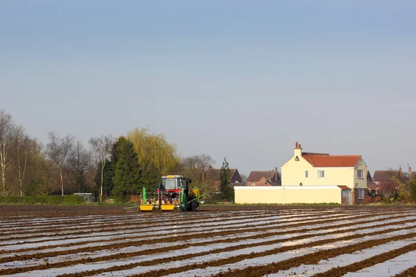 Agricultural scene — Stock Photo, Image
