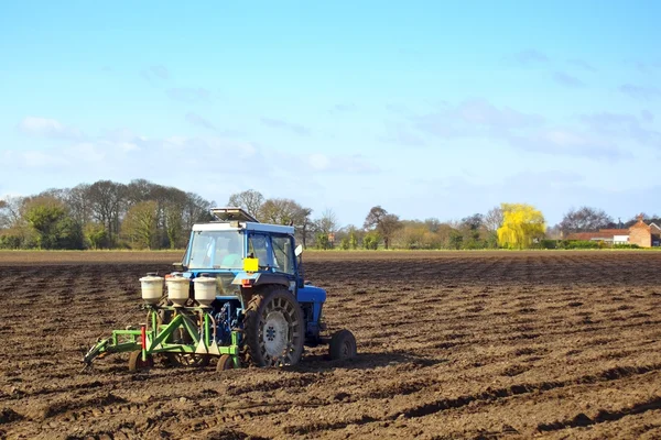 stock image Agricultural landscape