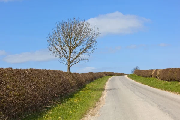 Engelse landweg — Stockfoto