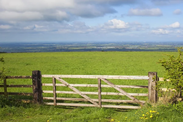 stock image Springtime landscape