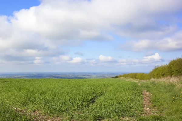 Campo com vista — Fotografia de Stock