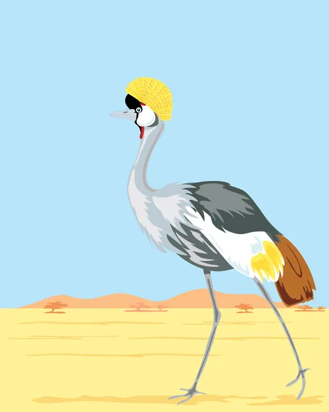 Crowned crane — Stock Vector