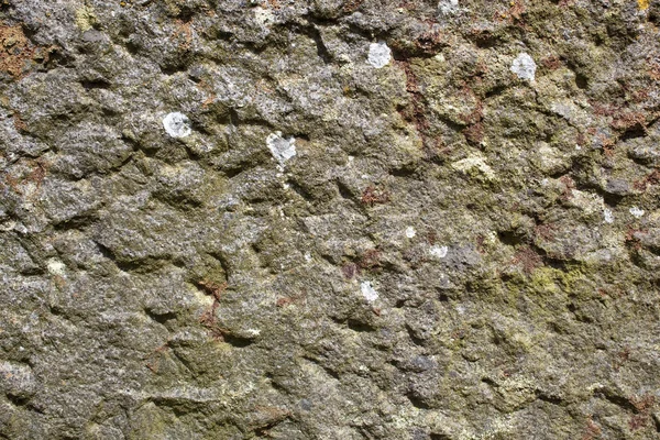 Lichen encrusted stone texture background — Stock Photo, Image
