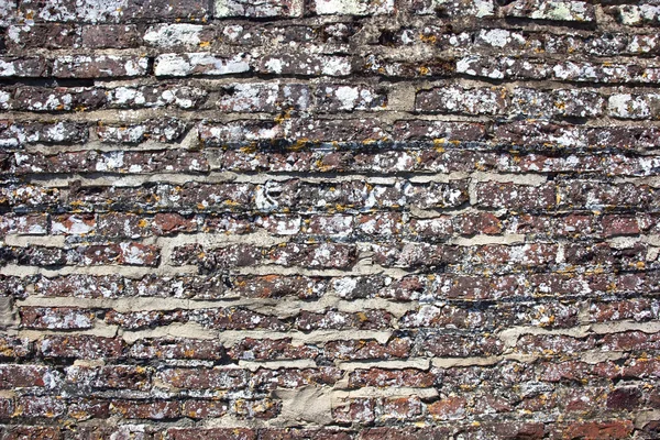 Hintergrund Textur alte Ziegelmauer mit Flechten — Stockfoto