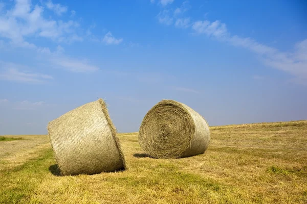Freshly baled hay — Stock Photo, Image