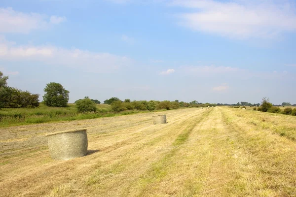 A mitad de verano hayfield — Foto de Stock
