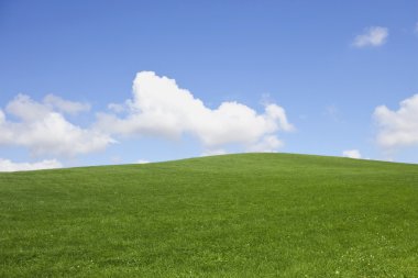 Grassy hillside and sky clipart