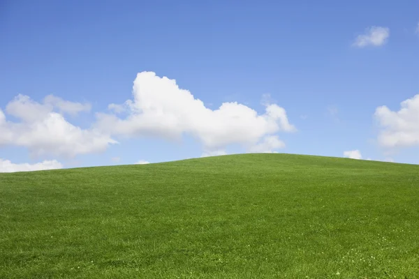 Met gras begroeide heuvel en hemel — Stockfoto
