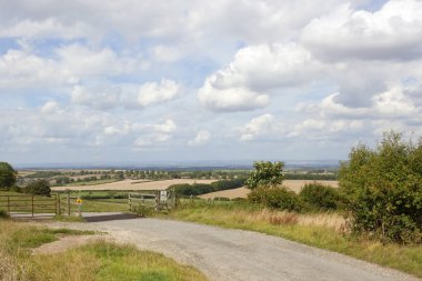 Landscape with cattle grid clipart