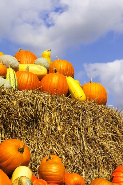 Pumpkins on bales of straw (hay) — Stock Photo, Image