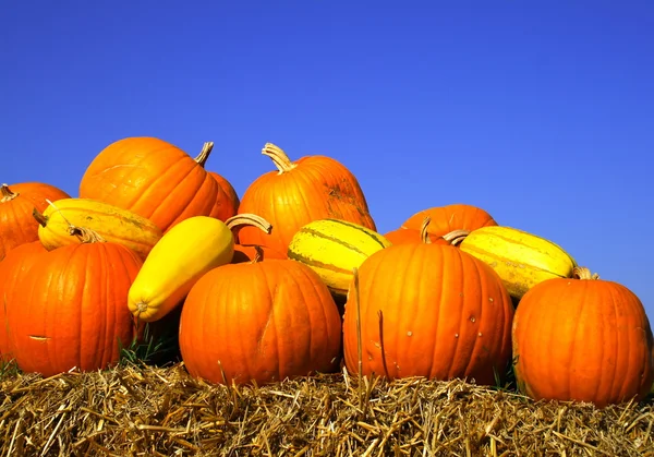 Pumpkins on bales of straw (hay) — Stock Photo, Image