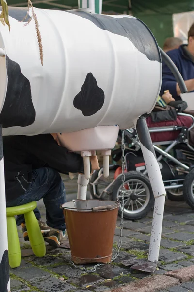 Milk fresh from the cow — Stock Photo, Image