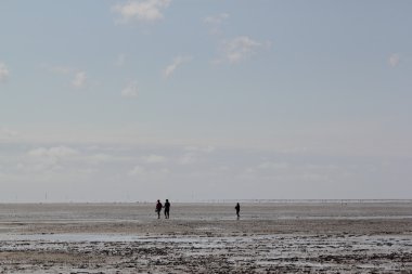 siluetleri mudflat üzerinde