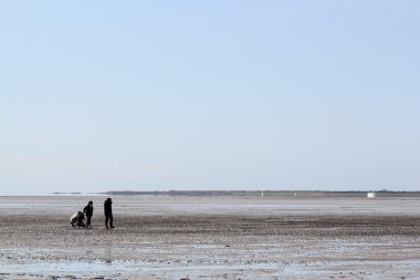 Silhouettes on mudflat clipart