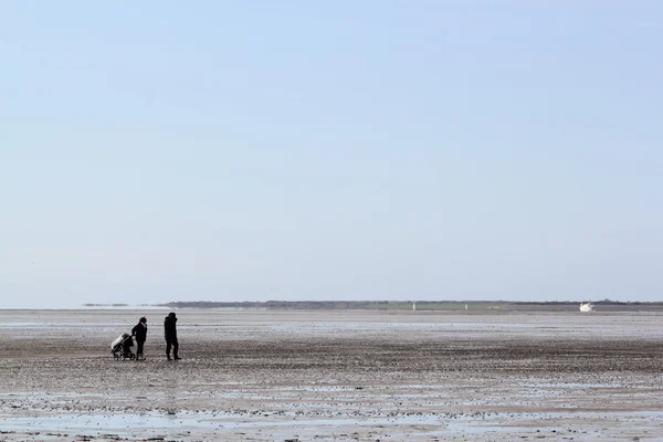 stock image Silhouettes on mudflat