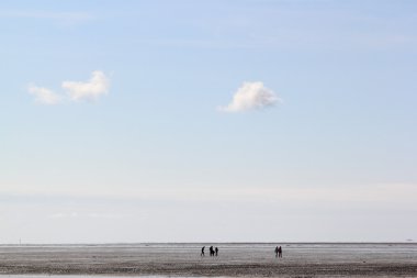 siluetleri mudflat üzerinde