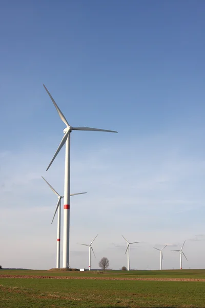Wind turbines under blue sky — Stock Photo, Image