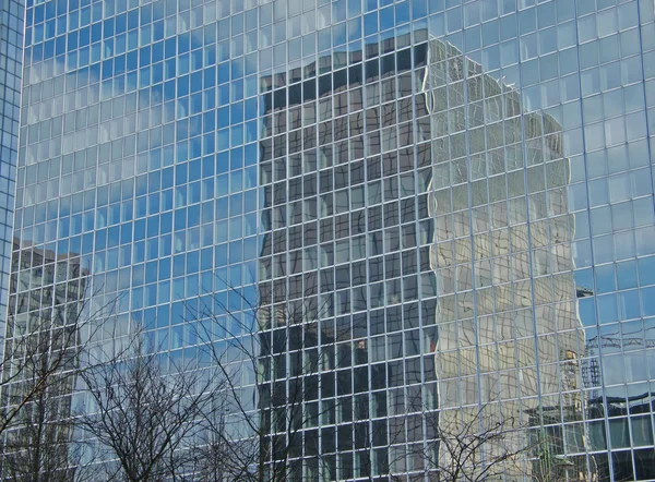 Glas byggnader med träd — Stockfoto