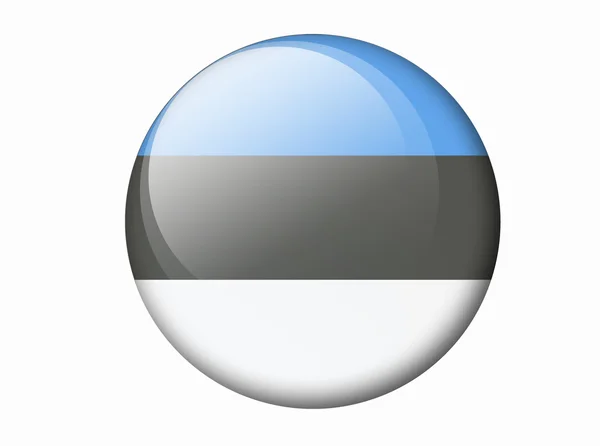 Estonian Flag — Stock Photo, Image