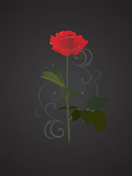 Rosa roja — Archivo Imágenes Vectoriales