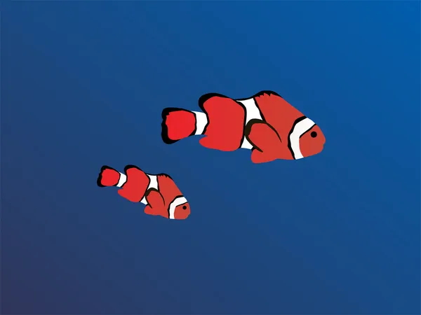 Clown fish — Stock Vector
