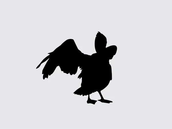 Ptačí silueta — Stockový vektor