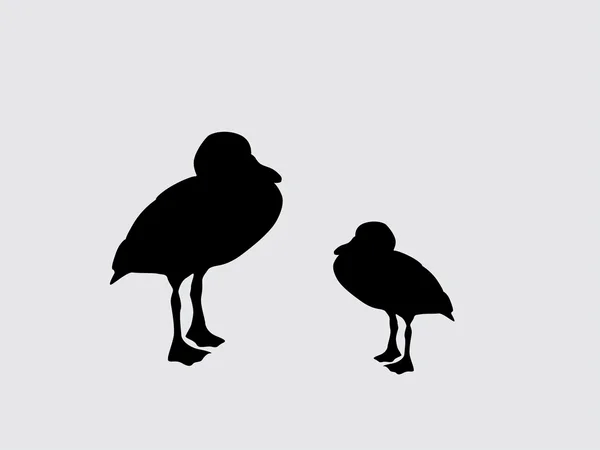 Silhouette d'oiseau — Image vectorielle