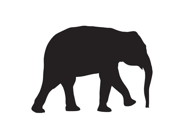 ช้าง — ภาพเวกเตอร์สต็อก