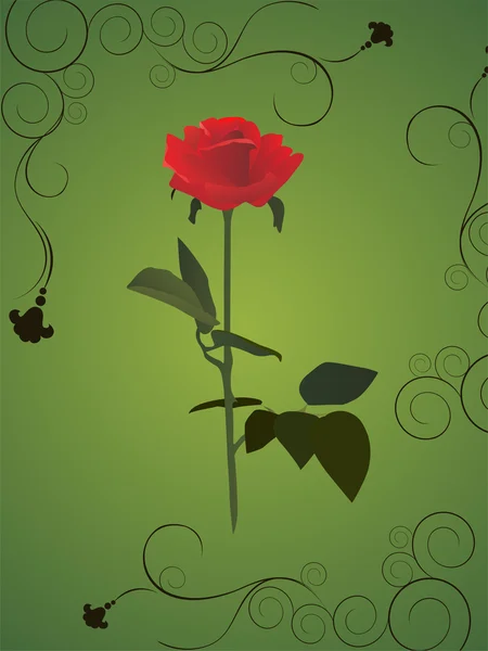 रोमँटिक गुलाब — स्टॉक व्हेक्टर