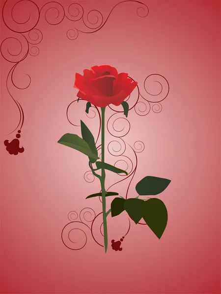 Romantické růže — Stockový vektor