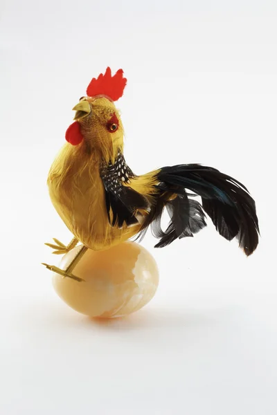 The chicken_1 — Stock Photo, Image