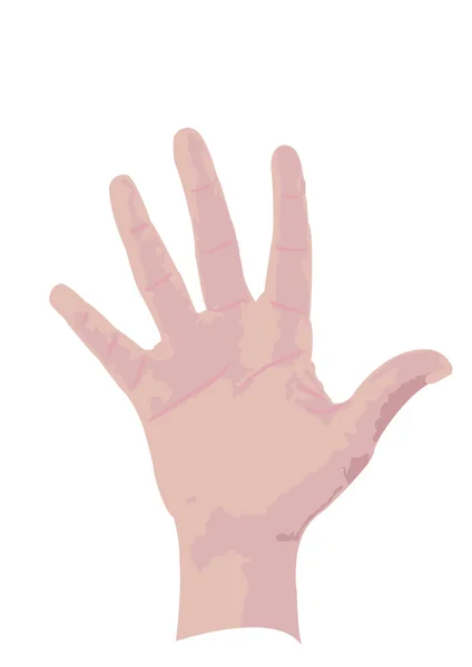 Main de la personne isolée — Image vectorielle