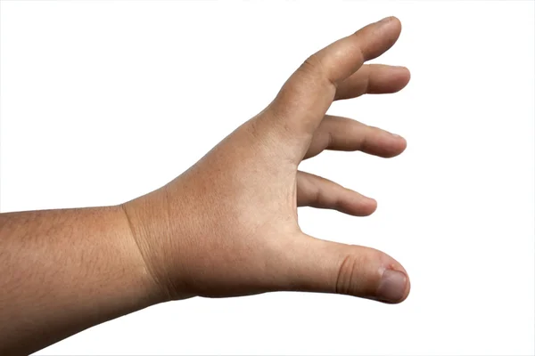 Mão da pessoa — Fotografia de Stock