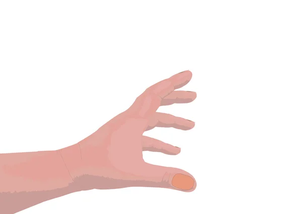 Personens hand — Stock vektor