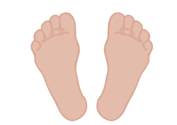 Ilustração vetorial de um pé de pés sobre um fundo branco — Vetor de Stock