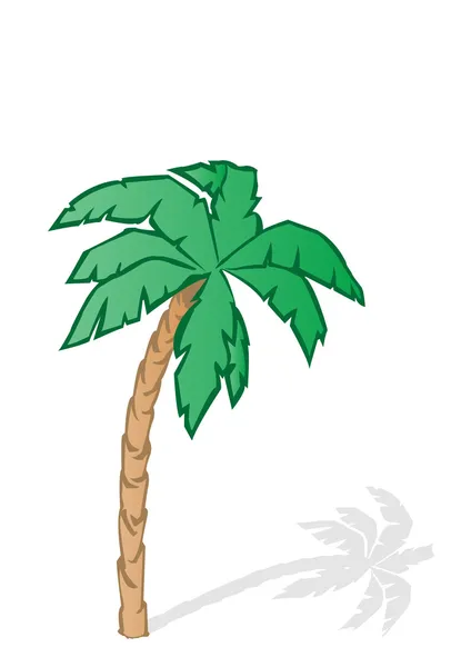 Ilustração vetorial uma palmeira tropical verde — Vetor de Stock