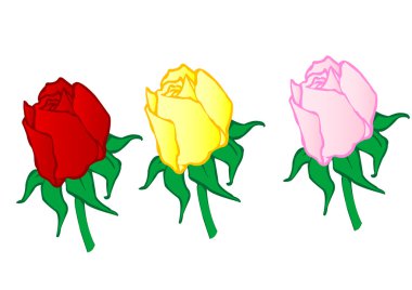 Vector illustration red ,yellow,pink roses